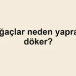 agaclar-neden-yaprak-doker