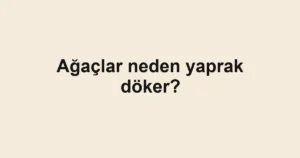 agaclar-neden-yaprak-doker