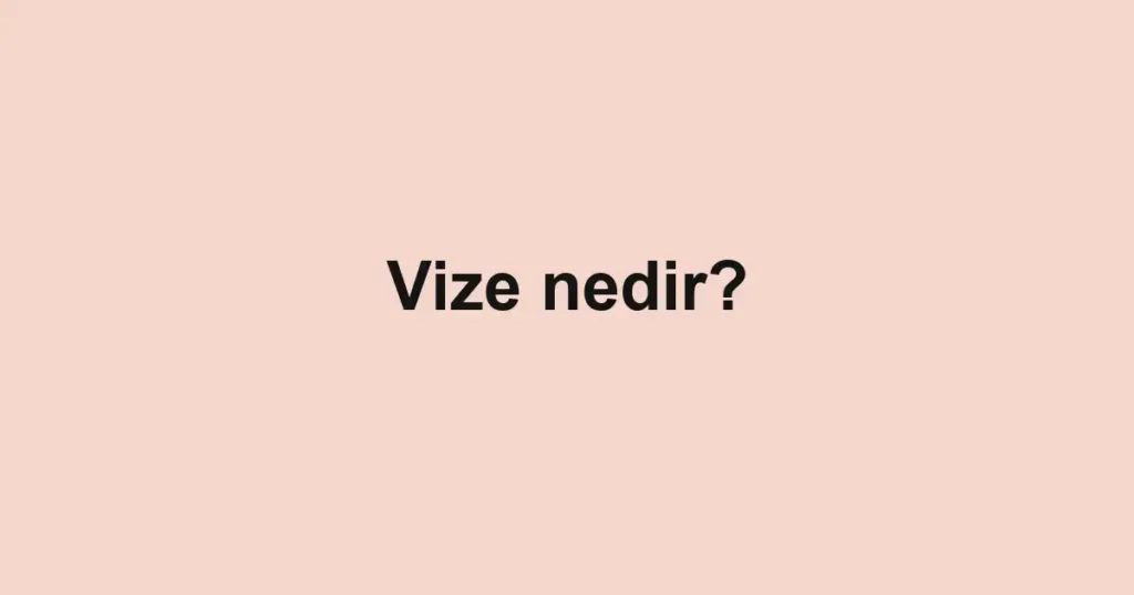 vize-nedir